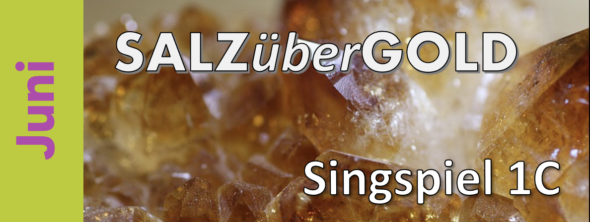 anmeldung startseite salzubergold